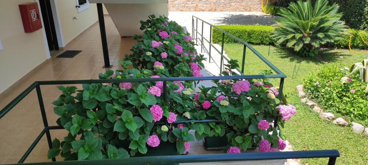 Hotel Patelis Πούλιθρα Εξωτερικό φωτογραφία