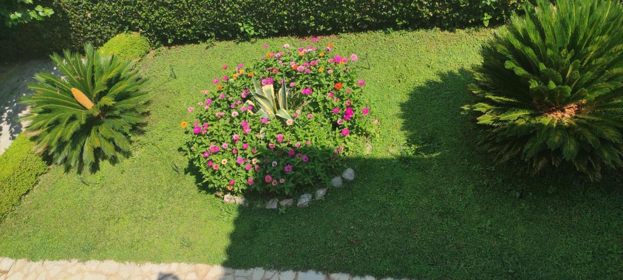 Hotel Patelis Πούλιθρα Εξωτερικό φωτογραφία