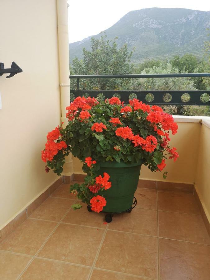 Hotel Patelis Πούλιθρα Εξωτερικό φωτογραφία